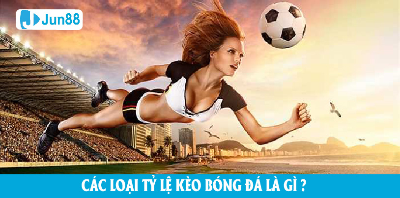 Các loại tỷ lệ kèo bóng đá là gì?